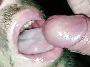 amature mature gay cum swallowing